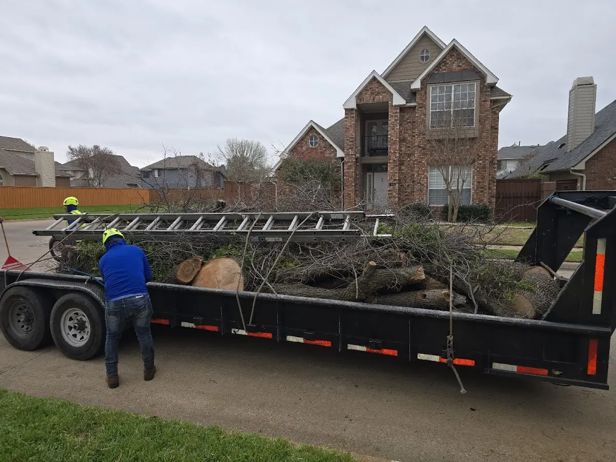 Expert Tree Pest Control with proper safety equipment in Lake City